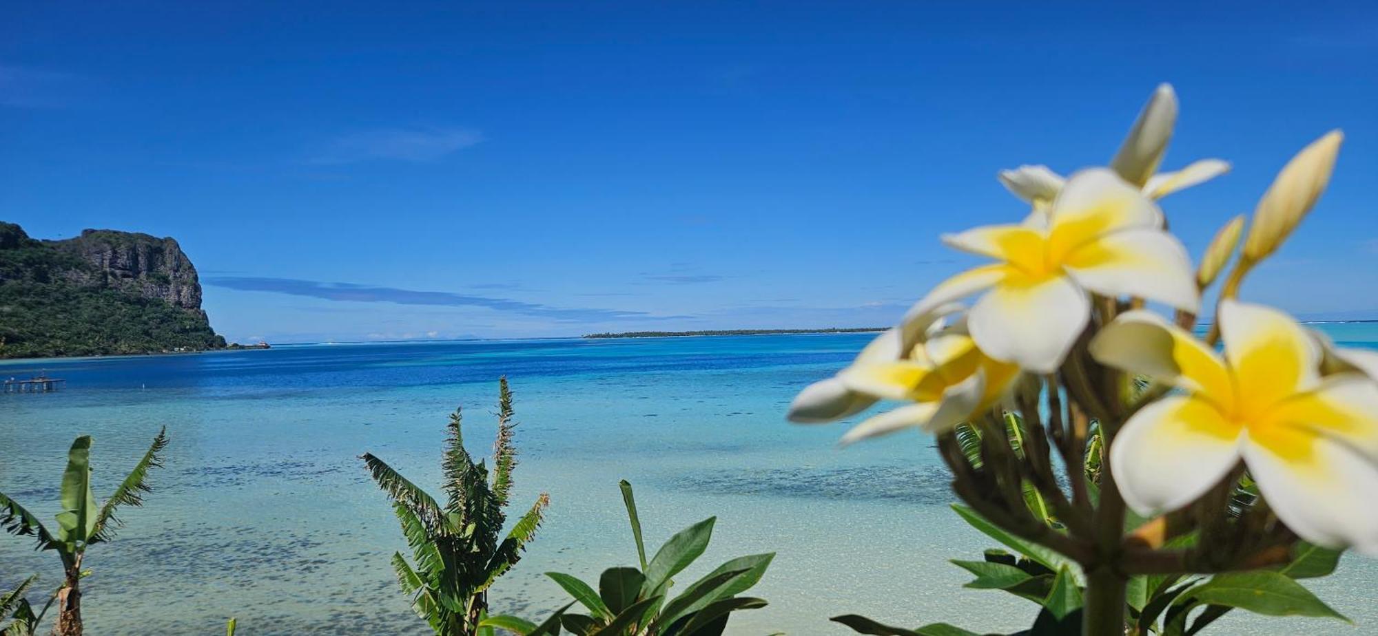 Taria Camping Hotel Te-Fare-Arii Luaran gambar